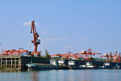 奮戰紅五月，瀘州水運吹響發展進軍號 碼頭建設與管理并舉，激活長江上游黃金水道