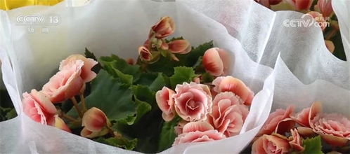 消費(fèi)旺起來 百姓樂起來 年貨市場臨近春節(jié)熱起來