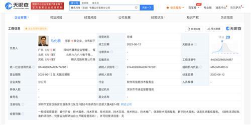 馬化騰任騰訊科技寶安分公司負(fù)責(zé)人，聚焦信息系統(tǒng)集成服務(wù)發(fā)展