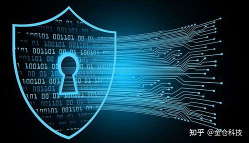 Web3.0、IPFS與Filecoin的協(xié)同演進(jìn) 信息系統(tǒng)集成服務(wù)的視角